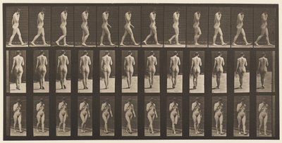 14. tábla Járás, jobb kéz az állnál, 1872-1885 alkotó: Eadweard Muybridge