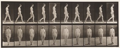 Tányér 15. Séta alkotó: Eadweard Muybridge