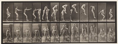 166. tányér.Ugrás; Az ember háta fölött alkotó: Eadweard Muybridge
