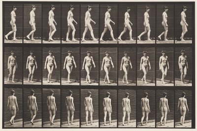 16. tábla Séta, 1872-1885 alkotó: Eadweard Muybridge