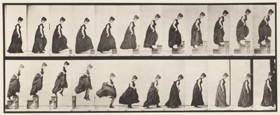 173. tábla. Emelkedő lépcsők és leugrás, 1885 alkotó: Eadweard Muybridge