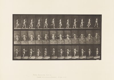 174. tábla. Futás és ugrás ugrálókötéllel, 1885 alkotó: Eadweard Muybridge