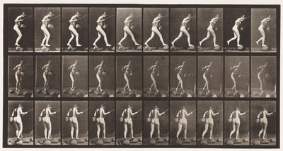 176. tábla. Átkelés a patakon lépcsőkövön horgászbottal és kosárral alkotó: Eadweard Muybridge