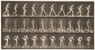 177. tábla. Átkelés a patakon lépcsőkövön horgászbottal és kosárral alkotó: Eadweard Muybridge