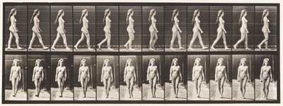 17. tábla Séta, 1872-1885 alkotó: Eadweard Muybridge