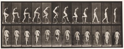 180-as tányér. Székre fellépés és felül alkotó: Eadweard Muybridge