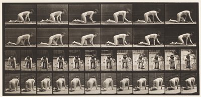 182. tábla. Kúszás kézen és térden alkotó: Eadweard Muybridge
