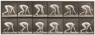 183. tábla. Kézen és lábon járás alkotó: Eadweard Muybridge