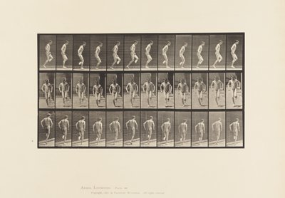 186. tábla. Jobb lábon ugrás, 1885 alkotó: Eadweard Muybridge