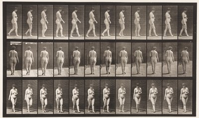 18. tábla. Séta, bal kézzel keresztben a hason, 1872-1885 alkotó: Eadweard Muybridge