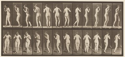 195. tányér. Táncos keringő alkotó: Eadweard Muybridge