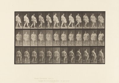 19. tábla. Séta, megfordulni kezd alkotó: Eadweard Muybridge