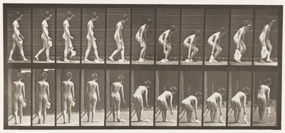 202. tábla. Zsebkendő leejtése és felemelése alkotó: Eadweard Muybridge