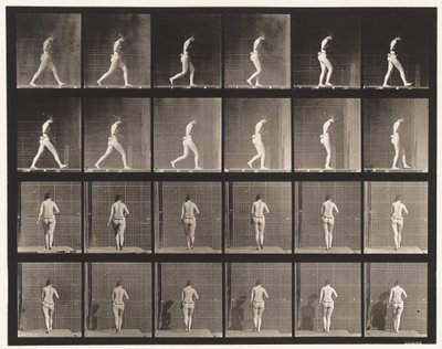 20. tábla. Járás, jobb könyök hajlítva alkotó: Eadweard Muybridge