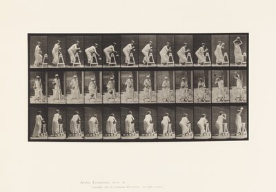 216. tányér. Hajlítás a víztartály megtöltéséhez; Jar felhelyezése a fejre alkotó: Eadweard Muybridge