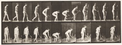 219. tábla. Hajlító és emelő seprű és seprő alkotó: Eadweard Muybridge