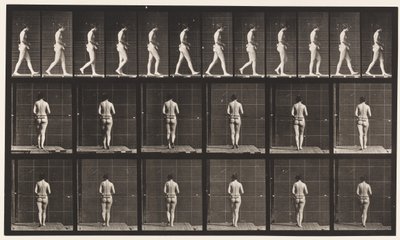 21. tábla. Járás, mindkét könyök behajlítva alkotó: Eadweard Muybridge