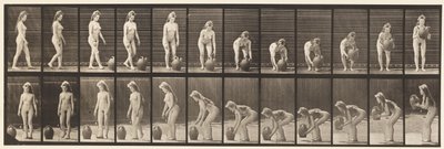 228. tányér. Forgatás és a talajról való felemelés alkotó: Eadweard Muybridge