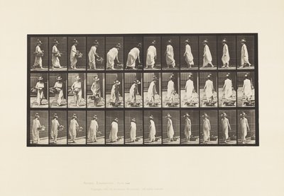 229. tábla. Kosár földre helyezése és forgatás alkotó: Eadweard Muybridge