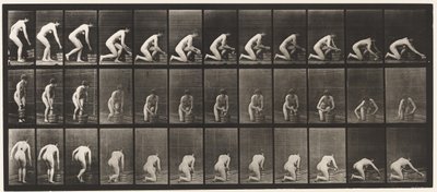252. tábla. Térdelés a jobb térden és a padló súrolása, 1872-1885 alkotó: Eadweard Muybridge