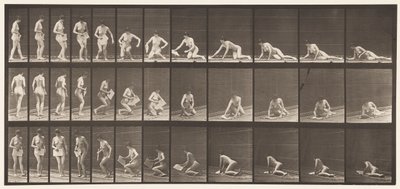 256. tábla. Földön fekvés és olvasás, 1872-1885 alkotó: Eadweard Muybridge