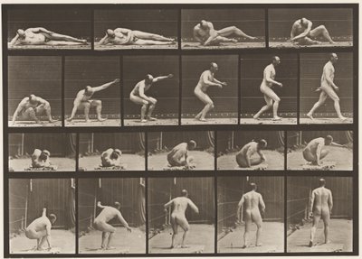 258. tábla. A földről felkelve és elsétálva alkotó: Eadweard Muybridge