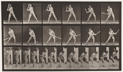 275. tányér.Alaplabda; Ütő (alacsony labda) alkotó: Eadweard Muybridge