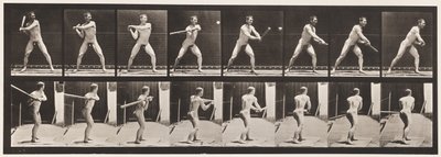 279. tányér.Alaplabda; Ütő, 1885 alkotó: Eadweard Muybridge
