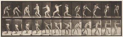 284. tányér.Alaplabda; Fogás és dobás, 1885 alkotó: Eadweard Muybridge
