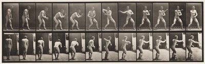 285. tányér. Baseball; Fogás és dobás alkotó: Eadweard Muybridge