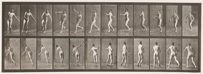290. tányér.Tücsök; Over Arm Bowling, 1885 alkotó: Eadweard Muybridge