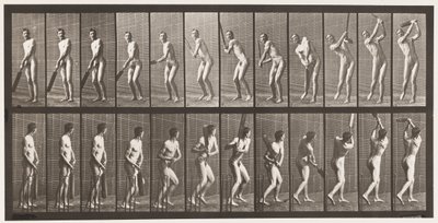 291. tányér.Tücsök; Ütőkezelés; Drive, 1885 alkotó: Eadweard Muybridge