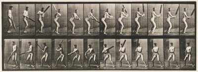 293. tányér.Tücsök; Ütőkezelés; Visszavágás, 1885 alkotó: Eadweard Muybridge