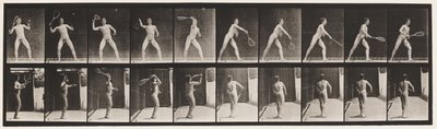 294. tányér. Gyeptenisz; Szolgáló alkotó: Eadweard Muybridge