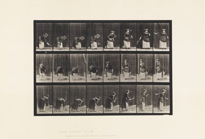 295. tányér. Gyeptenisz; Szolgáló alkotó: Eadweard Muybridge