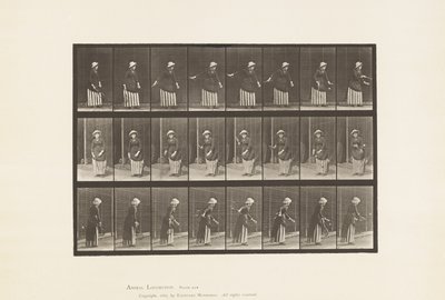 Tányér 296. Gyeptenisz alkotó: Eadweard Muybridge