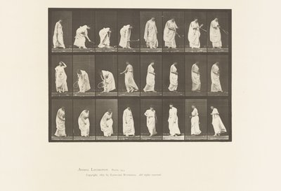 299. tábla. Játék labdával alkotó: Eadweard Muybridge