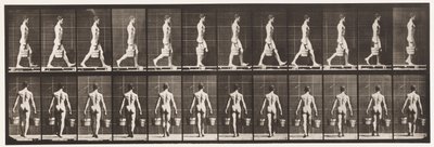 29. tábla. Séta, mindkét kezében vödör vizet hordva, 1872-1885 alkotó: Eadweard Muybridge