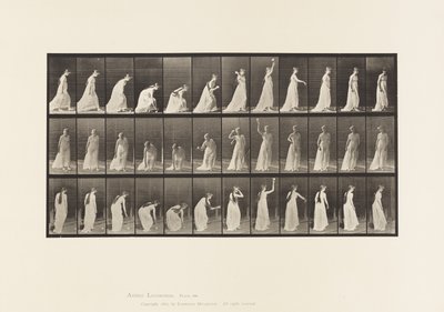306. tábla. Labdát felvenni és eldobni, 1885 alkotó: Eadweard Muybridge