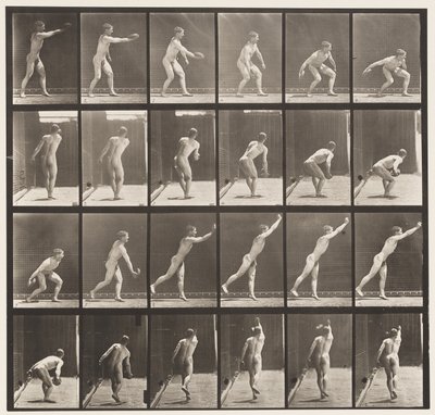 307. tábla Vaskorong dobása, 1872-1885 alkotó: Eadweard Muybridge