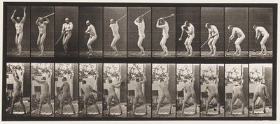 308. tábla. Kalapácsdobás, 1885 alkotó: Eadweard Muybridge