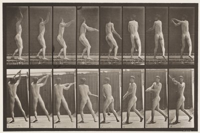 309. tábla. Kalapácsdobás alkotó: Eadweard Muybridge