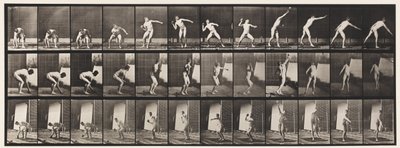 310. tábla. Lövés, 1885 alkotó: Eadweard Muybridge