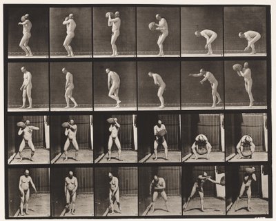 312. tábla. Egy 75 font súlyú szikla felemelése alkotó: Eadweard Muybridge