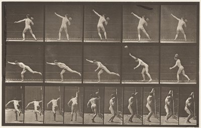 313. tábla. 20 font súlyú szikla felemelése, 1885 alkotó: Eadweard Muybridge