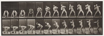 318. tábla. Egy 75 font súlyú szikla felemelése, 1872-1885 alkotó: Eadweard Muybridge