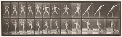 319. tábla. Egy 75 lb-s szikla felemelése alkotó: Eadweard Muybridge