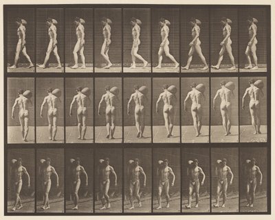 31. tábla. Séta, 75 font súlyú követ hord a jobb vállán alkotó: Eadweard Muybridge