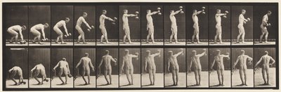 Tányér 326. Emelés 50-lb. Karhosszúságú súlyzó alkotó: Eadweard Muybridge