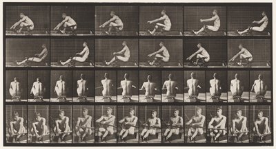 Tányér 327. Evezés alkotó: Eadweard Muybridge